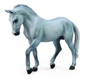 Obrazek Ogier rasy koń trakeński szary XL