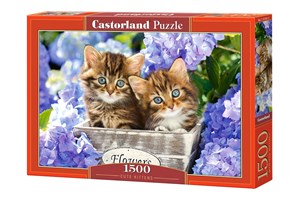 Obrazek Puzzle 1500 Cute Kittens