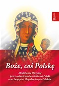 Boże coś P... - Stanisław Szczepaniec -  fremdsprachige bücher polnisch 