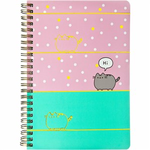 Obrazek Kołonotes Pusheen PUSH0597