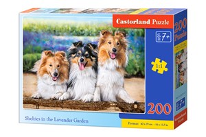 Bild von Puzzle 200 Owczarki szetlandzkie w lawendowym ogrodzie B-222117