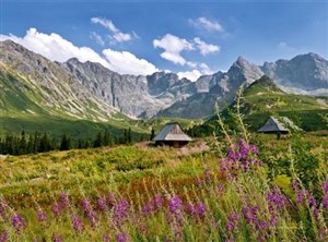 Bild von Kalendarz 2025 trójdzielny Tatry