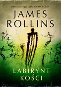 Polnische buch : Labirynt k... - James Rollins