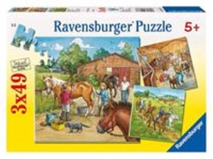 Bild von Puzzle Dzień w stadninie3x49 EL.