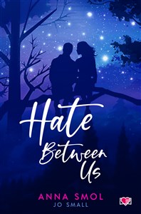 Bild von Hate Between Us