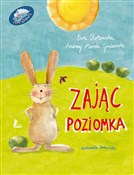 Zając Pozi... - Andrzej Marek Grabowski, Ewa Chotomska - Ksiegarnia w niemczech