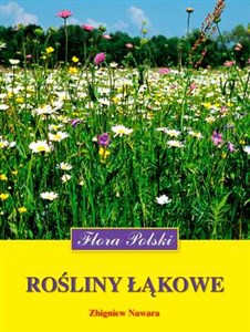 Bild von Rośliny łąkowe Flora Polski