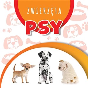 Obrazek Wstęgi kartonowe. Psy