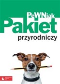 Pewniak Gi... -  polnische Bücher