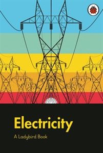 Bild von A Ladybird Book: Electricity