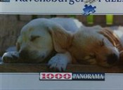 Puzzle 100... -  fremdsprachige bücher polnisch 