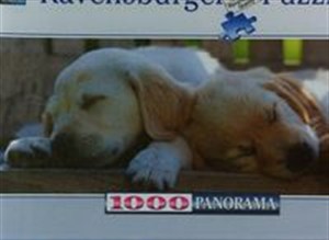 Bild von Puzzle 1000 Kraina marzeń