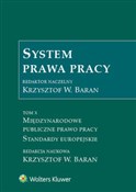 Polnische buch : System pra...