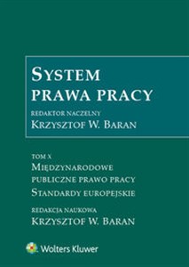 Bild von System prawa pracy Tom 10 Międzynarodowe publiczne prawo pracy