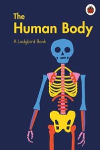 Obrazek A Ladybird Book: The Human Body