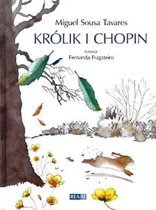 Obrazek Królik i Chopin