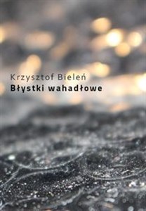 Bild von Błystki wahadłowe