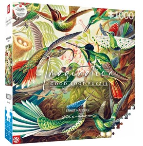 Obrazek Puzzle Imagination 1000 Ernst Haeckel - Kolibry