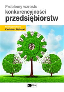 Bild von Problemy wzrostu konkurencyjności przedsiębiorstw