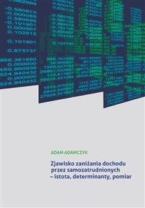 Bild von Zjawisko zaniżania dochodu przez samozatrudnionych