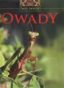 Bild von Świat zwierząt Owady