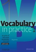Vocabulary... - Glennis Pye -  polnische Bücher