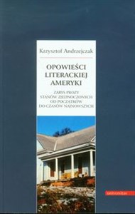 Obrazek Opowieści literackiej Ameryki Zarys prozy Stanów Zjednoczonych od początków do czasów najnowszych