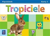 Książka : Tropiciele... - Beata Gawrońska, Emilia Raczek