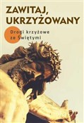 Zobacz : Zawitaj, U... - Robert Krawiec OFMCap, Małgorzata Sękalska (red.)