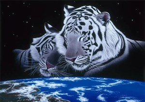 Obrazek Puzzle 1500 Śpiące tygrysy, Schim Schimmel