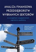 Analiza fi... - Wojciech Lichota, Ewelina Rabiej, Rafał Pitera -  polnische Bücher