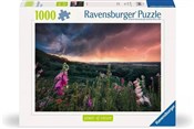 Puzzle 100... - Ksiegarnia w niemczech