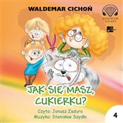 Polska książka : [Audiobook... - Waldemar Cichoń