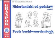 Polska książka : Niderlandz... - Jaskólska-Schothuis Teresa