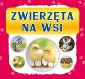 Książka : Zwierzęta ... - Opracowanie Zbiorowe