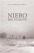 Polska książka : Niebo bez ... - Danuta Brzosko-Mędryk