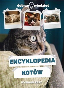 Obrazek Encyklopedia kotów