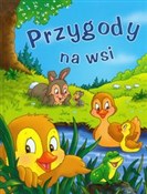 Zobacz : Przygody n... - Isabella Camino, Delphine Lacharron