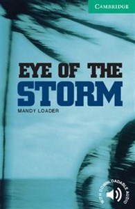 Obrazek Eye of the Storm Level 3