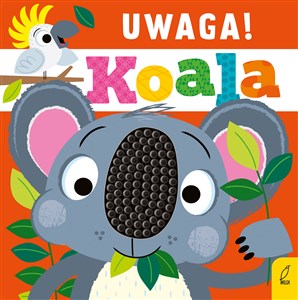 Obrazek Uwaga! Koala