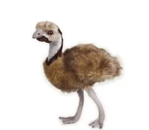 Bild von Emu