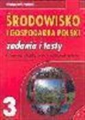 Środowisko... - Władysław Skrzypczak -  polnische Bücher