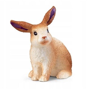 Bild von Zajączek fioletowy