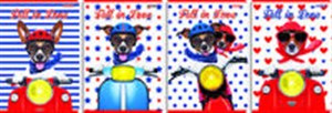 Obrazek Zeszyt A5 Top 2000 w kratkę 32 kartki Racing Dogs 10 sztuk