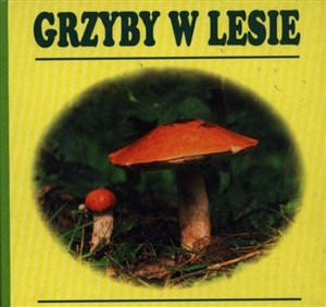 Bild von Grzyby w lesie harmonijka