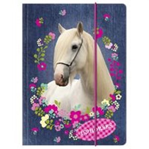 Bild von Teczka z gumką A4 Konie