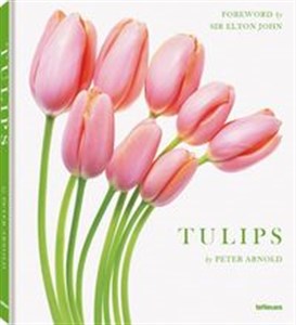 Bild von Tulips