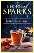 Polnische buch : Jesienna m... - Nicholas Sparks