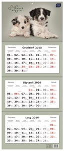Obrazek Kalendarz trójdzielny 2026 - Psy