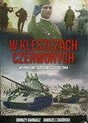 W kleszcza... - Dionizy Garbacz, Andrzej Zagórski -  polnische Bücher